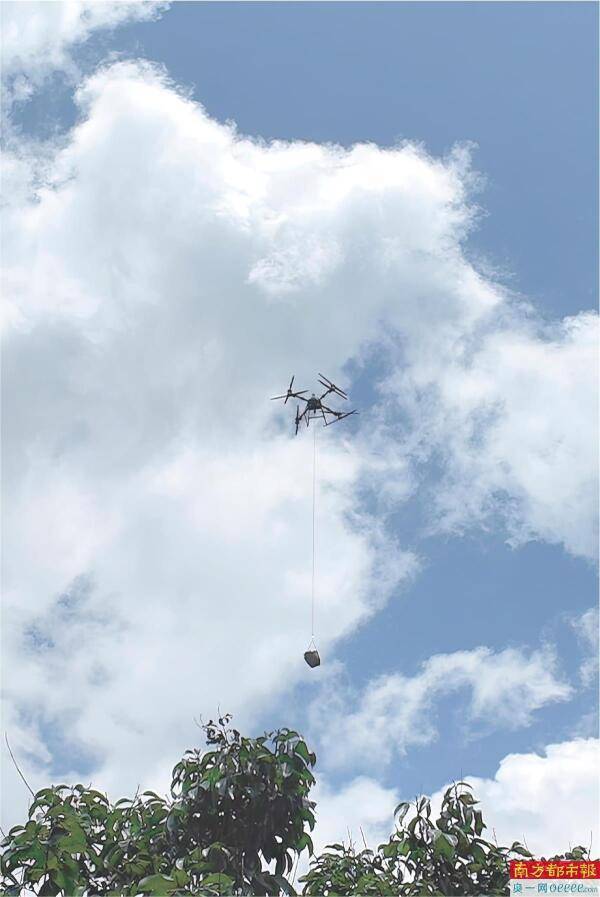 山洪沖斷小橋 無人機搶運荔枝:沖剪機